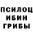 Галлюциногенные грибы Psilocybine cubensis Vera Kh.