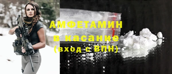 крисы Алексин