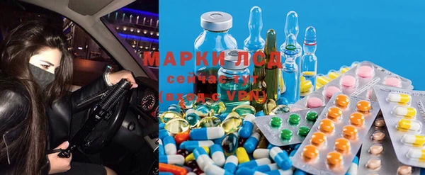 крисы Алексин