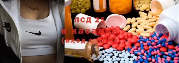 крисы Алексин